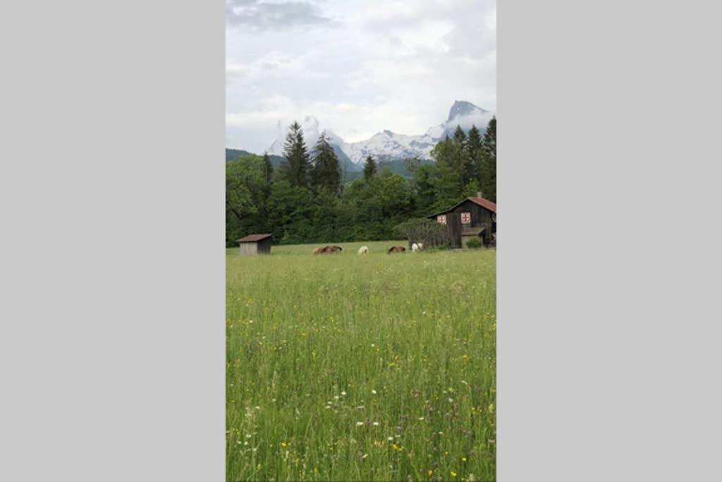 Chalet Alliance Entre Calme Et Plaisir Villa Morillon Exterior photo
